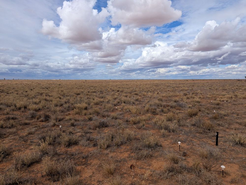 An open vista of a semi arid chenopod shrubland/grassland mosaic with blue sky and scattered clouds 