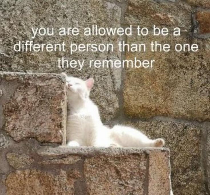 A white cat on a stone staircase with the caption “you are allowed to be a different person than the one they remember”