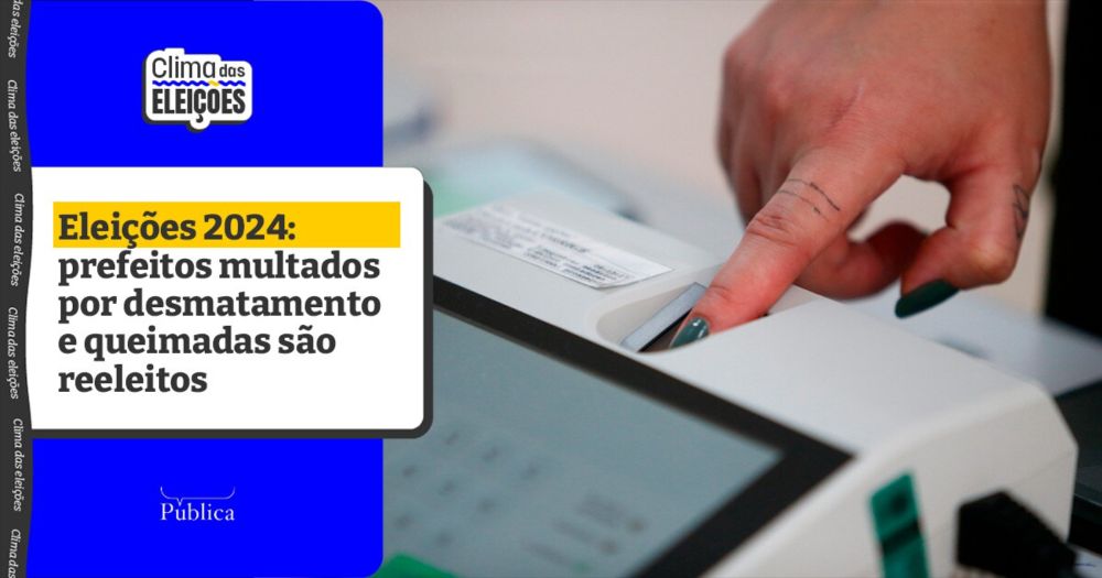 Eleições 2024: prefeitos com multas ambientais são reeleitos