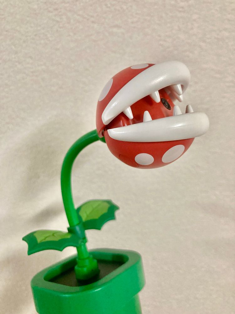 パックンフラワーかわいいよ、かわいい！
パックンフラワーしか勝たん！