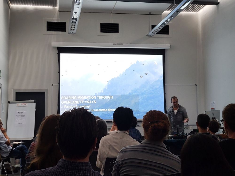 Wouter presenting a talk to at audience. The screen shows a slide that reads "soaring migration through overland highways"