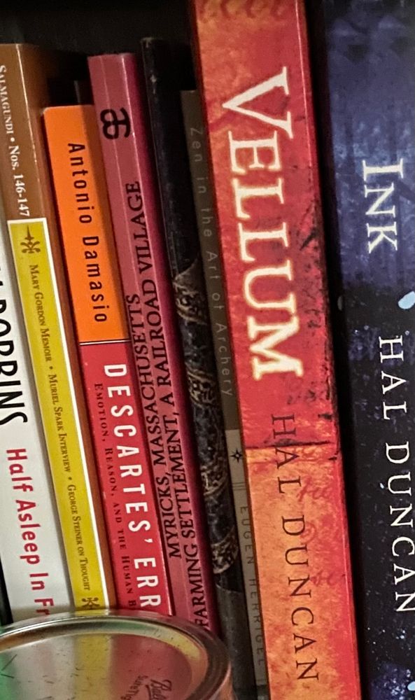 A book shelf with some books shown, Vellum/Ink is so worth a read!