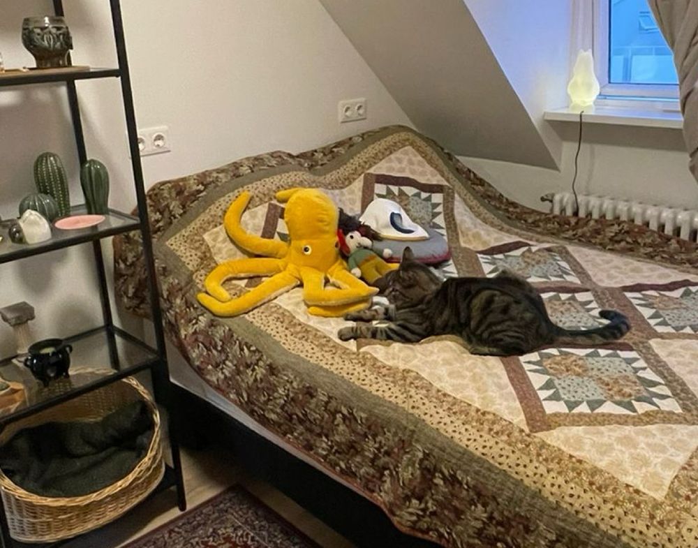picture of a cat on a bed next to a troll teddy bear, octopus teddy bear and a spaceship, they look like they’re having a meeting