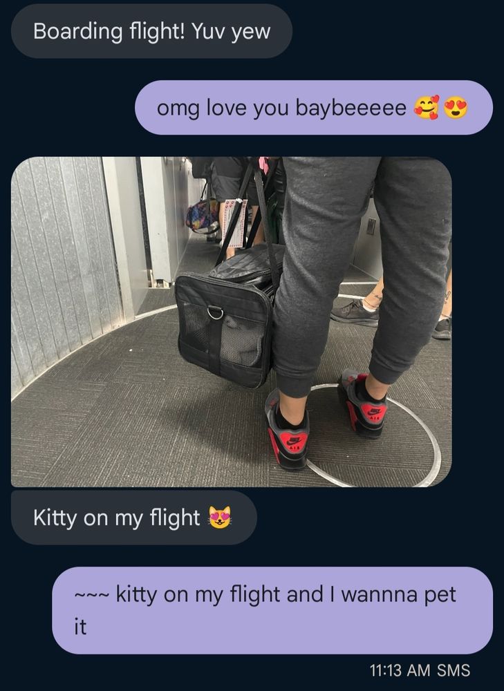 Kitty on a plane and I wanna touch it! ~ Meow meow meowmeowmeow meooowww ~
