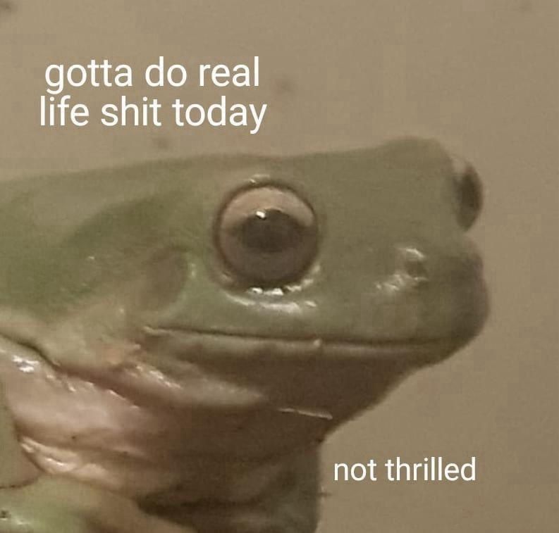 Frog hates doing life shit