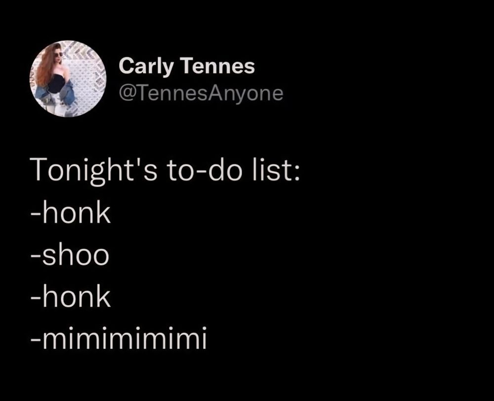 Sleppy time mimimimi kills me, that's what is the tonight todo list