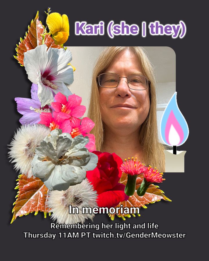 At the center is a square photo of Kari-Aidyn she they, a white trans femme-presenting person with long blond hair, and wire-framed rectangle glasses. Framing from the bottom left of the photo is a collage of flowers that Kari has photographed themselves. On the bottom right is an art render of a candle with a trans flag flame. The overall image background is a charcoal grey. Text reads: Kari she they; in memoriam - remembering her light and life; Thursday 11am PT twitch dot tv slash gender meowster