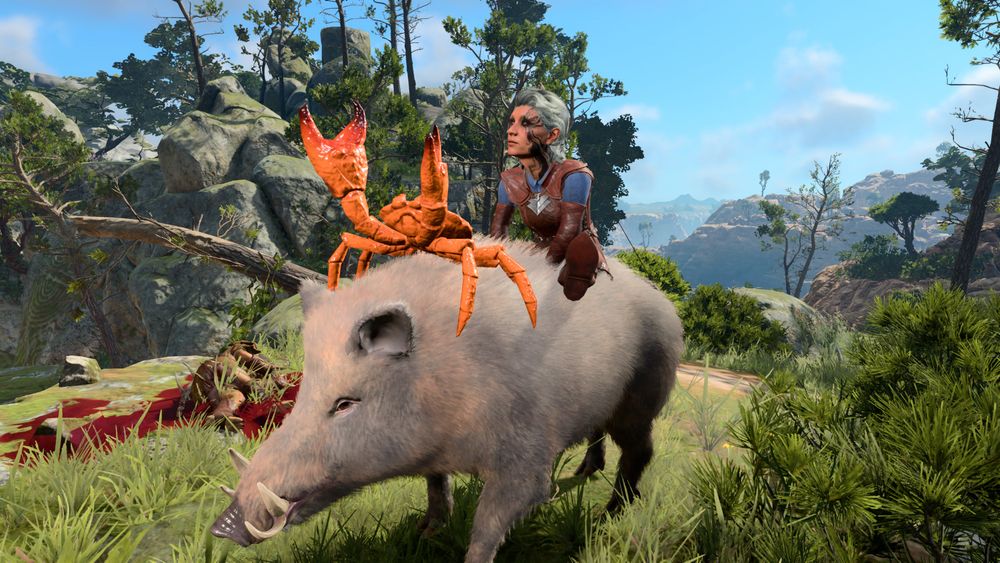 A screenshot from Baldur's Gate 3 - a rocky green cliff with a very girthy boar standing atop. Riding the animal companion boar is Rhea the halfling ranger wearing blue and brown leather armour, black and white streaked hair with a black eye with squiggly lines streching out from it. Faerûn's most bright and jubilant crab rides atop the boar in front, waving it's pincers in the air like it just don't care.