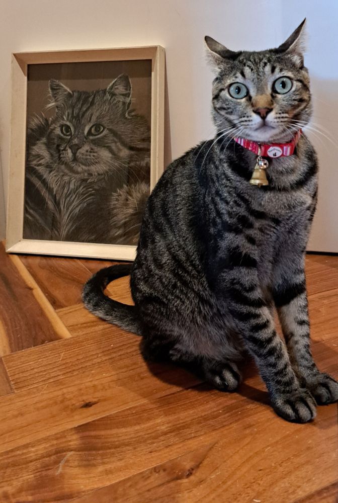 This is a tabby cat with wide eyes sitting on a wooden floor next to a portrait of a tabby cat with wide eyes.