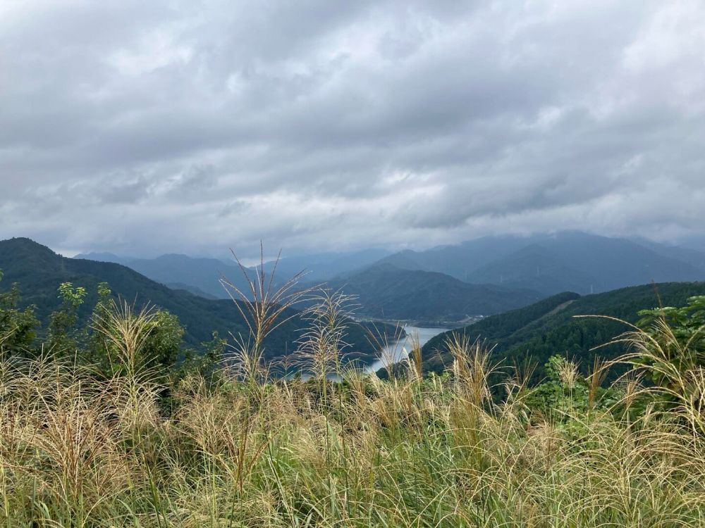 南山〜宮ヶ瀬ダム〜あいかわ公園 / varanashさんの仙洞寺山・南山・津久井堂所山の活動データ | YAMAP / ヤマップ