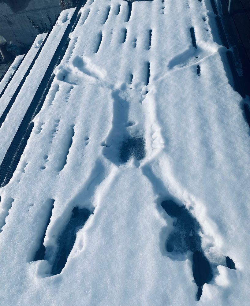 Schneeengel eines nackten Mannes auf Holzterrassenuntergrund.
Durch die Körperwärme haben Po und Beine den Schnee an betreffenden Stellen fast zur Gänze weggeschmolzen.