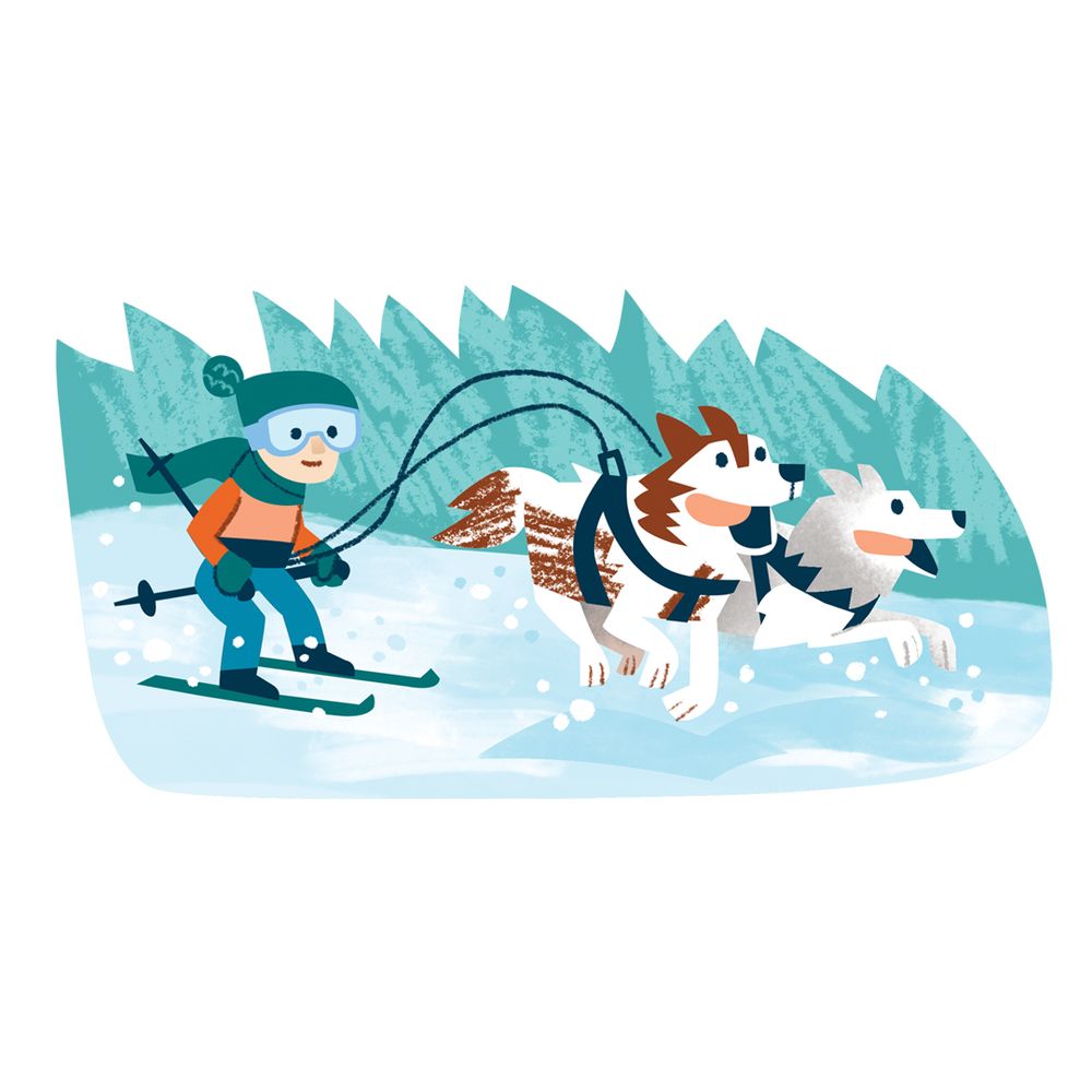 A skier being pulled by two huskies.