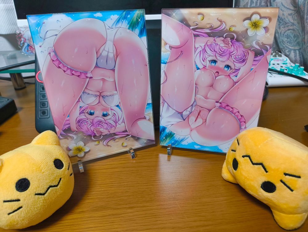 えちちなアクリルパネル(右は上下逆さま)