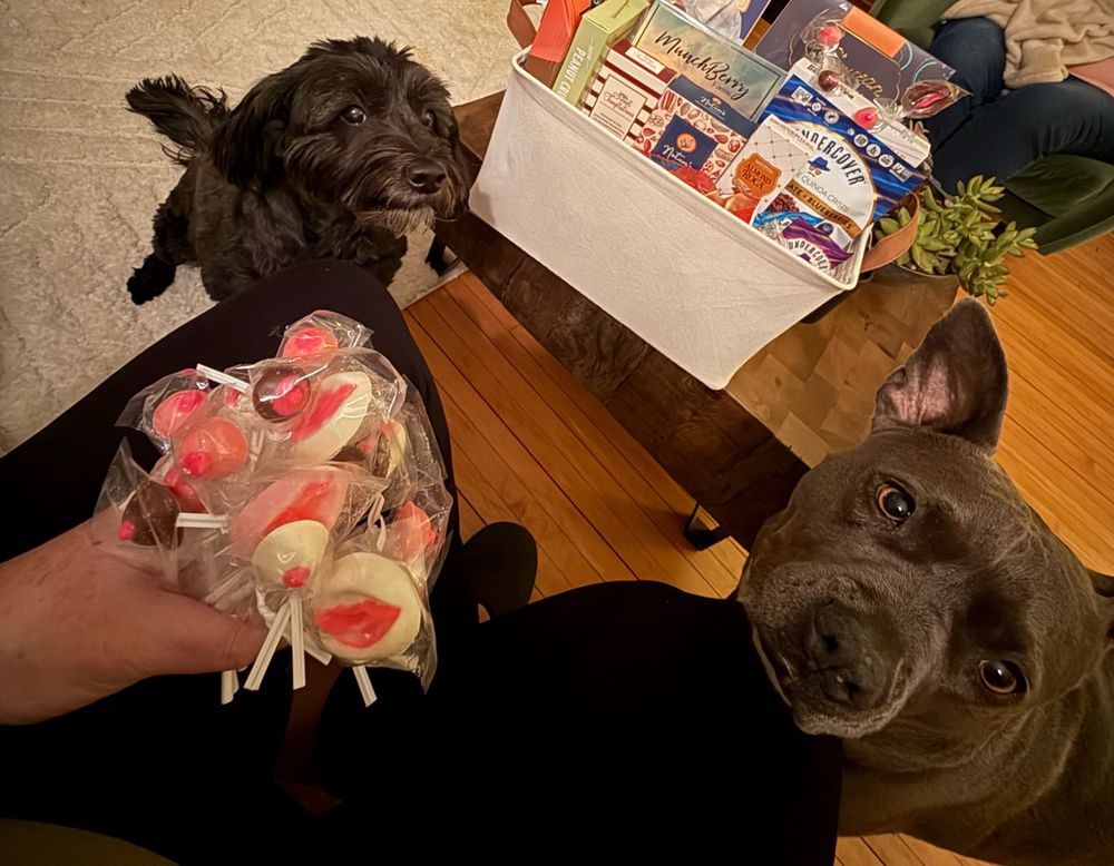 Two dogs, Piper and Dali, looking up at me expectantly as I hold a handful of vulva and breast shaped white, brown, and pink chocolate suckers. 