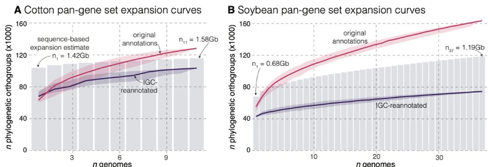pangenome 'expansion' curves for cotton and soybean