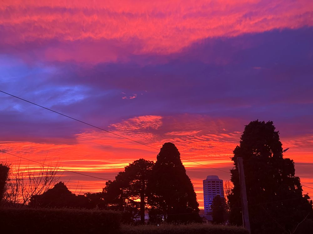 Photo shows a dramatic sunrise in very intense orange and purple, with some trees and buildings silhouetted in the foreground.