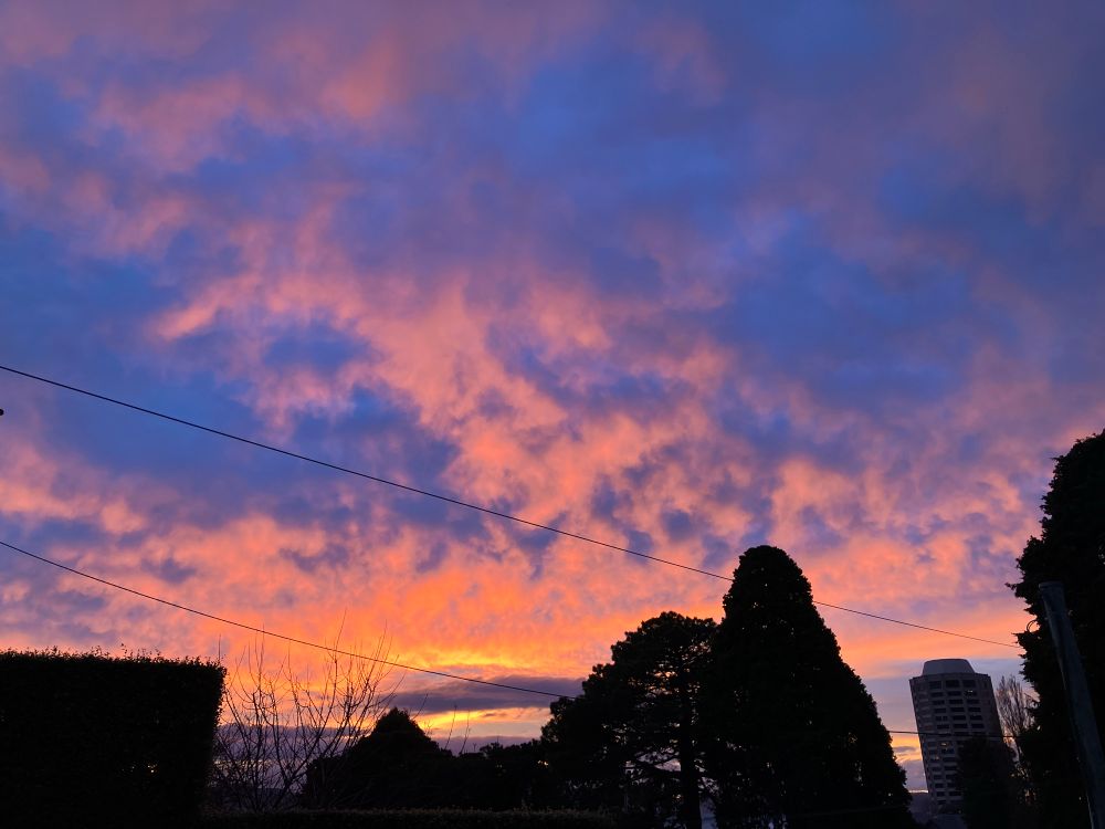 Photo shows a dramatic orange, pink, gold and purple sunrise, with some electric lines and trees silhouetted in the foreground.