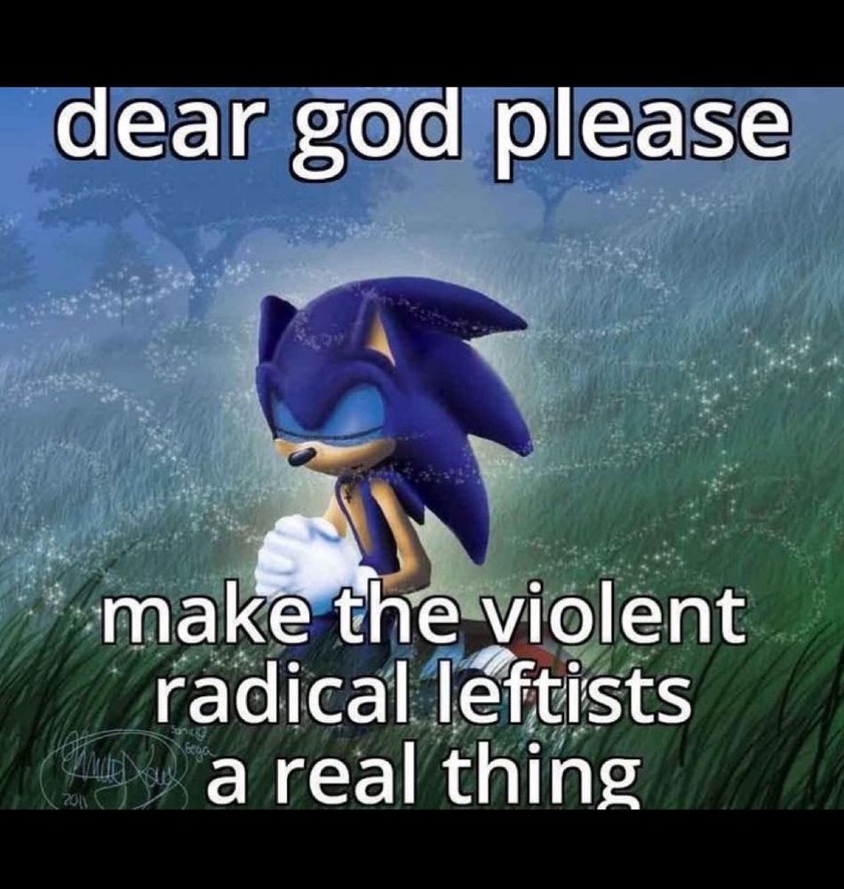 sonic the hedgehog praying in a field, “dear god please make the violent radical leftists a real thing.”