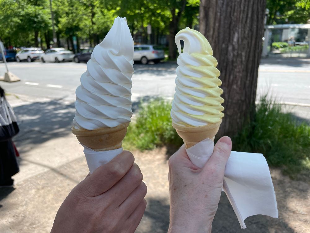 Two soft serve ice cream cones being held up side by side. The left is vanilla, the right is a white and yellow twist of vanilla and this week’s flavour, turmeric ginger. A street is visible in the background. It’s very sunny. 