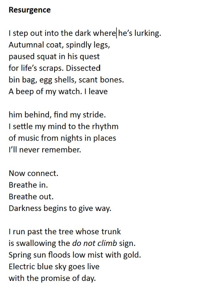 Resurgence

I step out into the dark where he’s lurking. 
Autumnal coat, spindly legs, 
paused squat in his quest
for life’s scraps. Dissected
bin bag, egg shells, scant bones.
A beep of my watch. I leave

him behind, find my stride.
I settle my mind to the rhythm
of music from nights in places 
I’ll never remember.
 
Now connect. 
Breathe in. 
Breathe out.
Darkness begins to give way. 

I run past the tree whose trunk 
is swallowing the do not climb sign.
Spring sun floods low mist with gold.
Electric blue sky goes live
with the promise of day.
