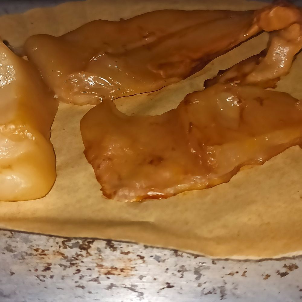 sliced scoby in a toaster