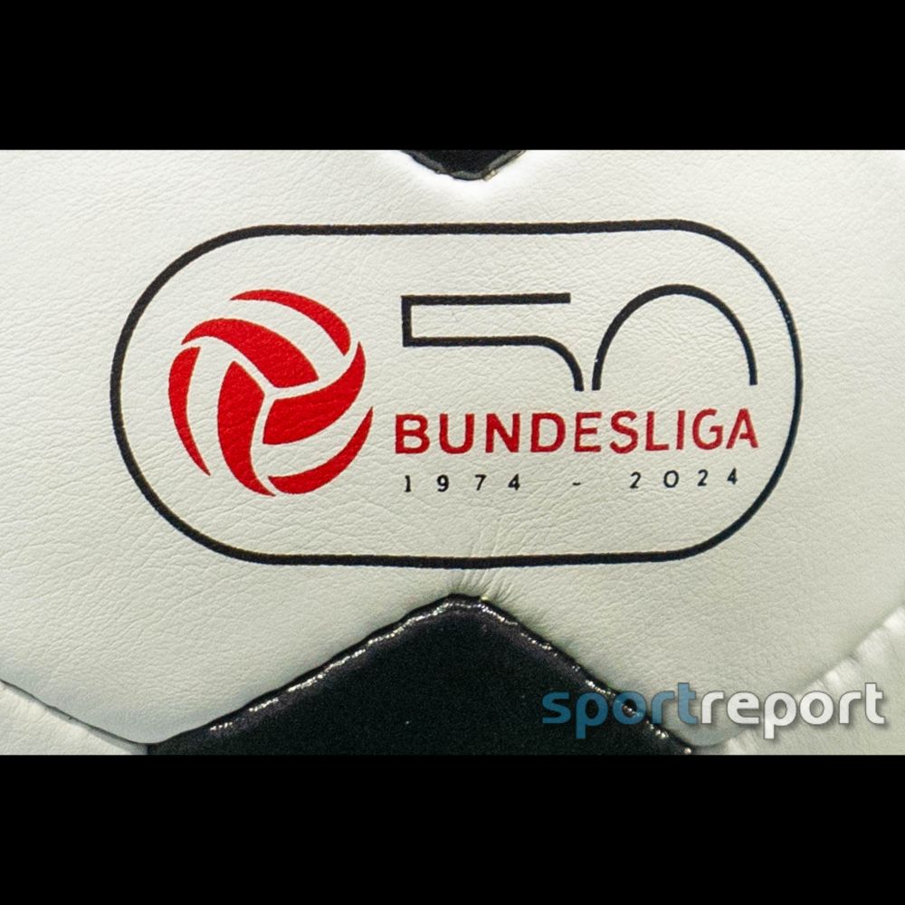 Daten, Fakten & Wissenswertes zur 17. Runde - Rückblick auf die 17. Runde der Admiral Bundesliga