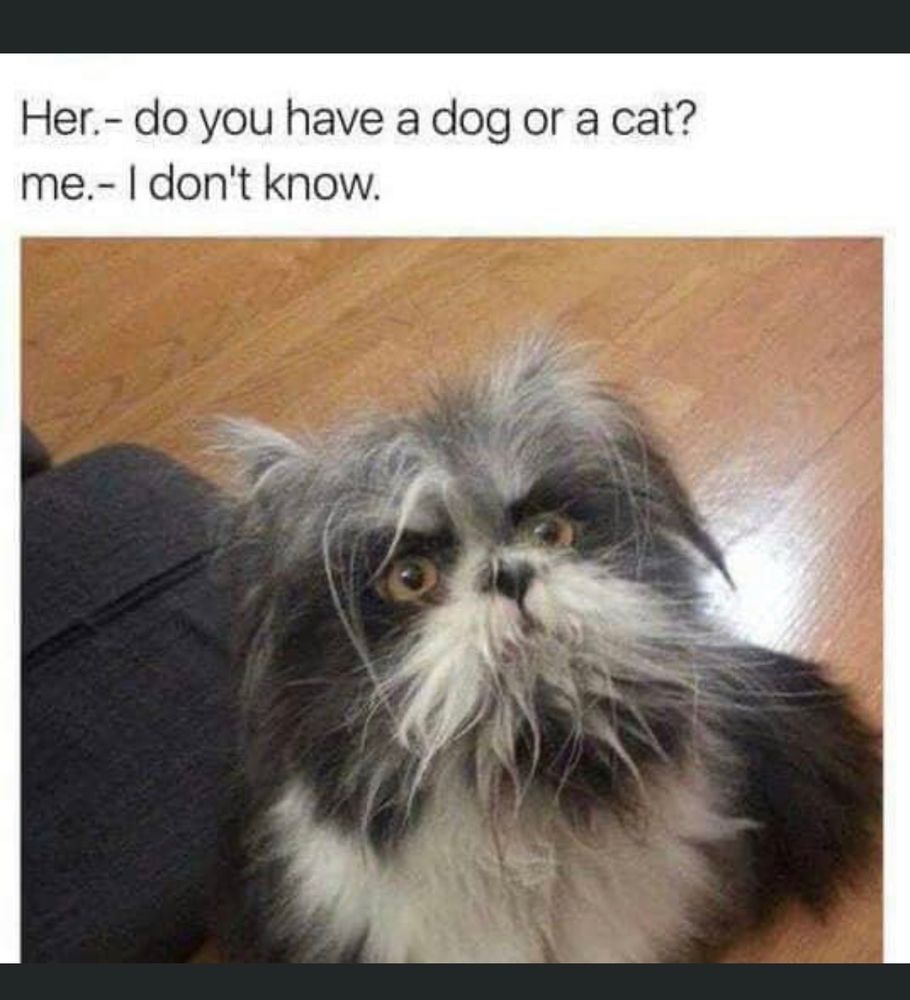 A picture of ...

Her.- do you have a dog or a cat? 

me.- I don't know.
