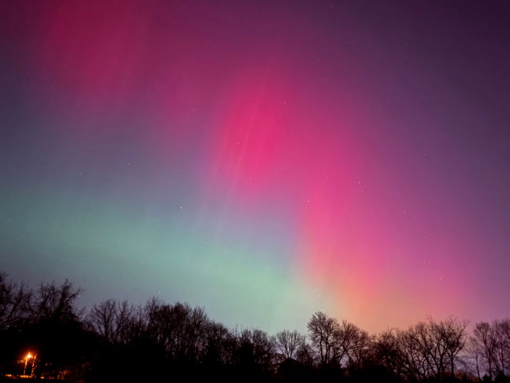 Pink bands of light in night sky over bare trees.