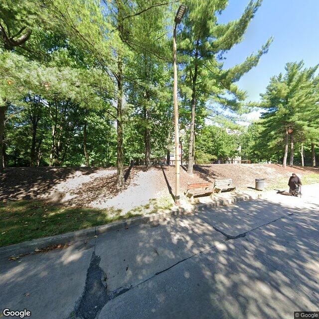 Google Maps Street View of bus stop YELLOWOOD AVE & FLAX TERR OPP sb