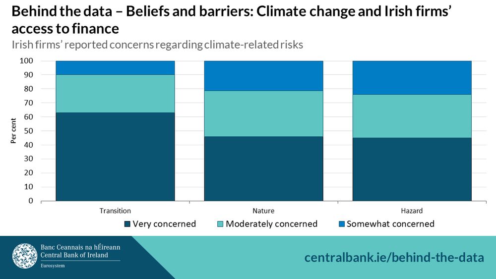 Behind the data - Beliefs and barriers: Climate change and Irish firms’ access to finance