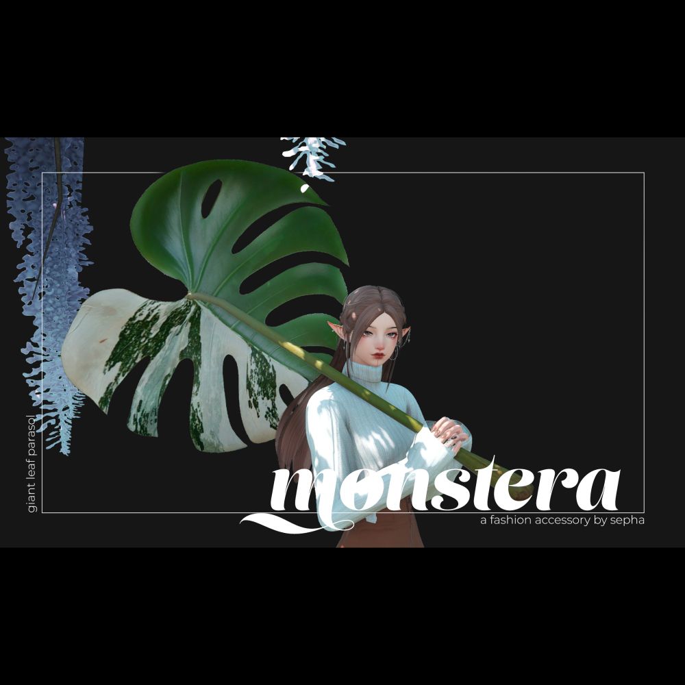 monstera