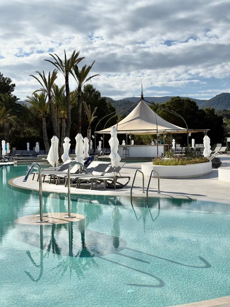 Pool with a canopy bar and palm trees