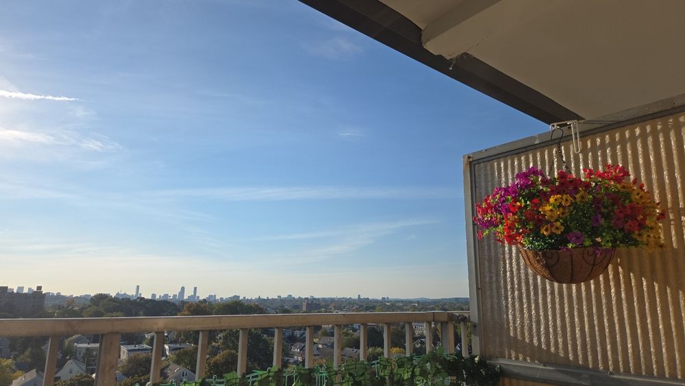 View of the city of Boston from a balcony decorated with a hanging basket of bright flowers.