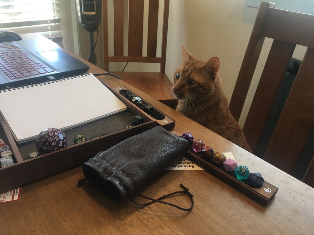 orange cat sitting in a chair looks at dice