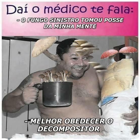 meme de um cara sorridente com uma leiteira e um pao, tudo cheio de cogumelos com a legenda acima "Dai o medico te fala: o fungo sinistro tomou possa da minha mente" e abaixo "melhor obedecer o decompositor"