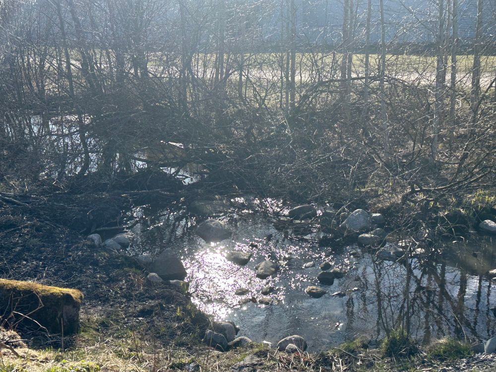 River near a walking trail in Puotila, Helsinki 
