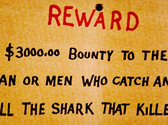 Gif of a reward poster "reward: $3000 bounty to the man or men who catch and kill the shark that killed"

The poster is cut off at the bottom
 It is hand written and a shadow crosses it at one point.