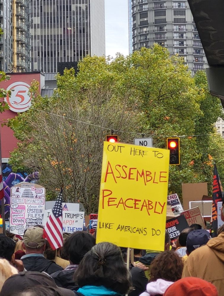 Sign reads "Out here to peacefully assemble like Americans do"