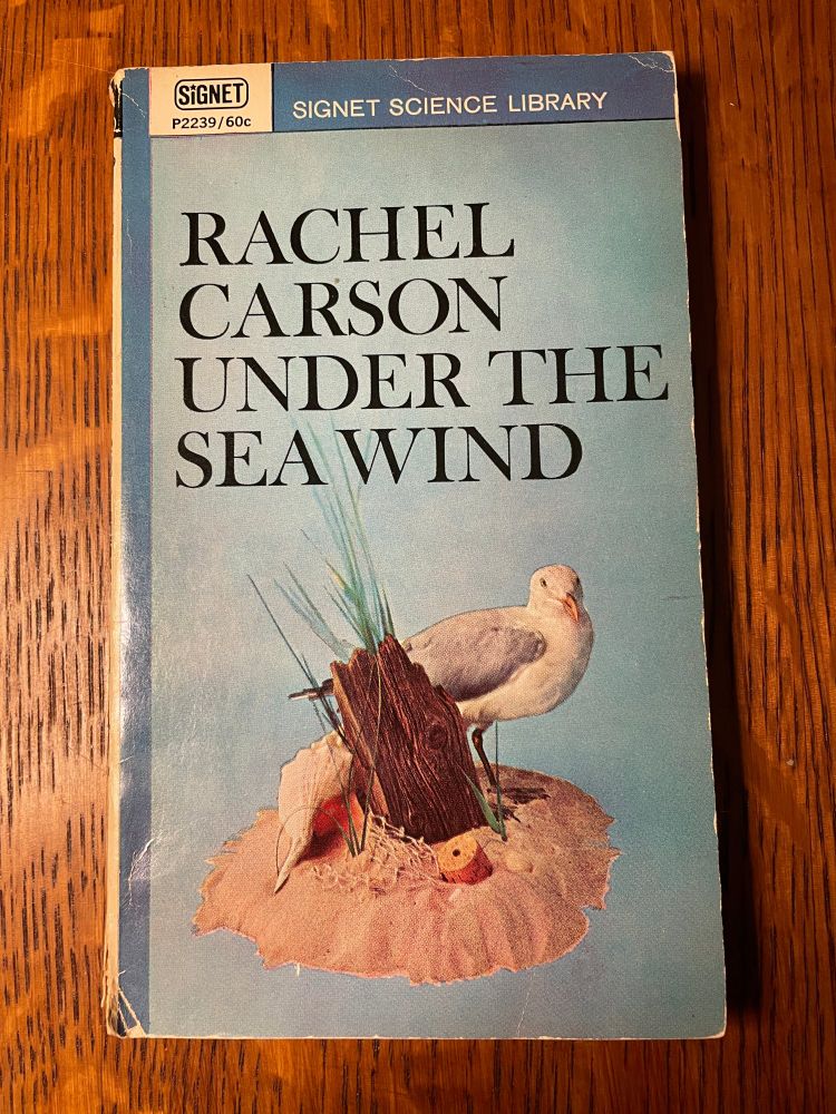 Photo of cover of Under the Sea Wind by Rachel Carson, with an illustration of a seagull on a beach with seashel, drifrwood, a cork, a bit of fishing net, and beach grass.