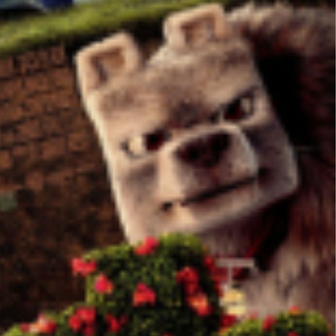 Comment image