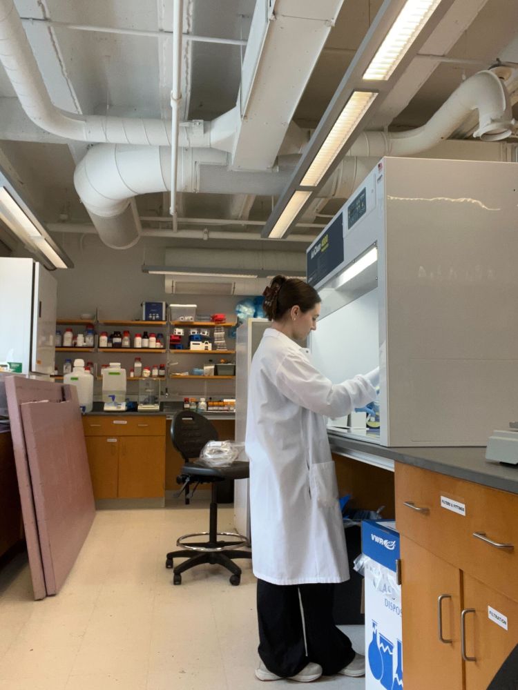Amanda works within a culture hood in the lab while wearing a lab coat. Photo provided by Amanda Ellis.