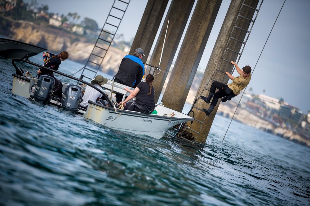 Wiley climbs down a ladder next to a piling underneath the Scripps pier to meet a small boat with four people on board. Photo by Erik Jepsen. 