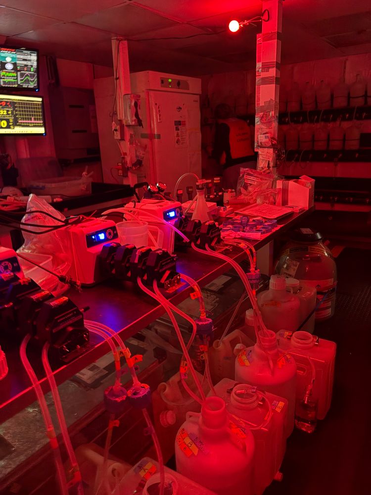 The lab set-up for filtering samples for metatranscriptomics during the incubations on the C-CoMP March 2025 cruise. A series of peristaltic pumps are arranged on the lab bench with tubing passing through. Seawater is pumped up through the tubing from a carboy, passed through a filter holder containing a filter to remove microbial cells, and filtrate is collected in another carboy. Filtering is done in red light to minimize disturbance of photosynthetic cells in samples that were collected at night. Photo by Erin Maybach. 