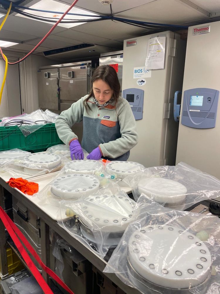 Fadime prepares for a Clio deployment in a lab on the R/V Atlantic Explorer during the March 2025 C-CoMP cruise. Fadime stands behind a lab bench that is covered with Clio filter rigs encased in bags. Photo by Loay Jabre. 