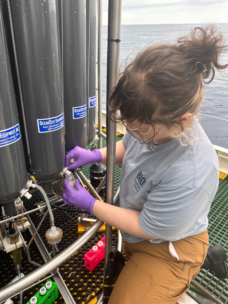 Natalie Graham collects a seawater sample into a glass vial from the spigot on one of the Niskin bottles on the CTD. This sample was collected to measure the concentration of dissolved organic carbon in seawater. Photo by Ben Acosta. 