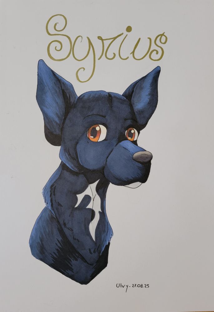 Drawing made with alcohol markers representing a portrait of a black dog with a white spot on her chest and on her chin. She has pointy ears and light brown eyes.