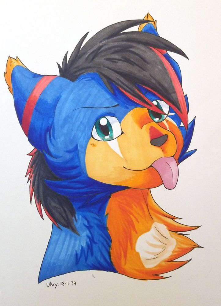 Portrait of blue, orange and white she-cat with black and red maine-like hair. She sticking out her tong while smiling.
