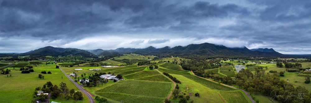 A wide 3:1 ratio panoramic drone shot of the internationally renown Hunter Valley Wine Country region (NSW Australia). 

Storm clouds roll in over the Brokenback Range towards the valley with vines in full bloom making a distinct contrast between the foreboding clouds and the lush green rows of grape vines that stretch from the foreground all the way to the foothills of the distant mountains. 

We are right in the middle of harvest at this time of year in Australia.

The historic Ben Ean winery is in view on the bottom left of the frame and the equally ancient vines of Audrey Wilkinson vineyard fill the right-hand side of the view.
