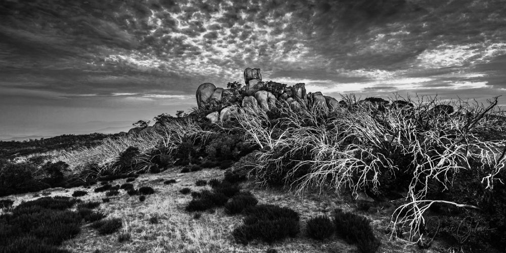 Summer in the Victorian Alps - Australia

Shot whilst hiking in the Mt Buffalo #nationalpark I hiked over a few small ridges to find this scene of ragged boulders teetering upon each other as the stormy clouds raced above them stretched out before me.

What makes this image so dramatic are the white trunks of trees that surround the base of the boulders and down the edge of the hillside that have been permanently left pure white from the heat of previous bushfires. 

The shite trunks contrast against the dark green foliage growing up underneath it. 

#landscapephotography #photography #bnw