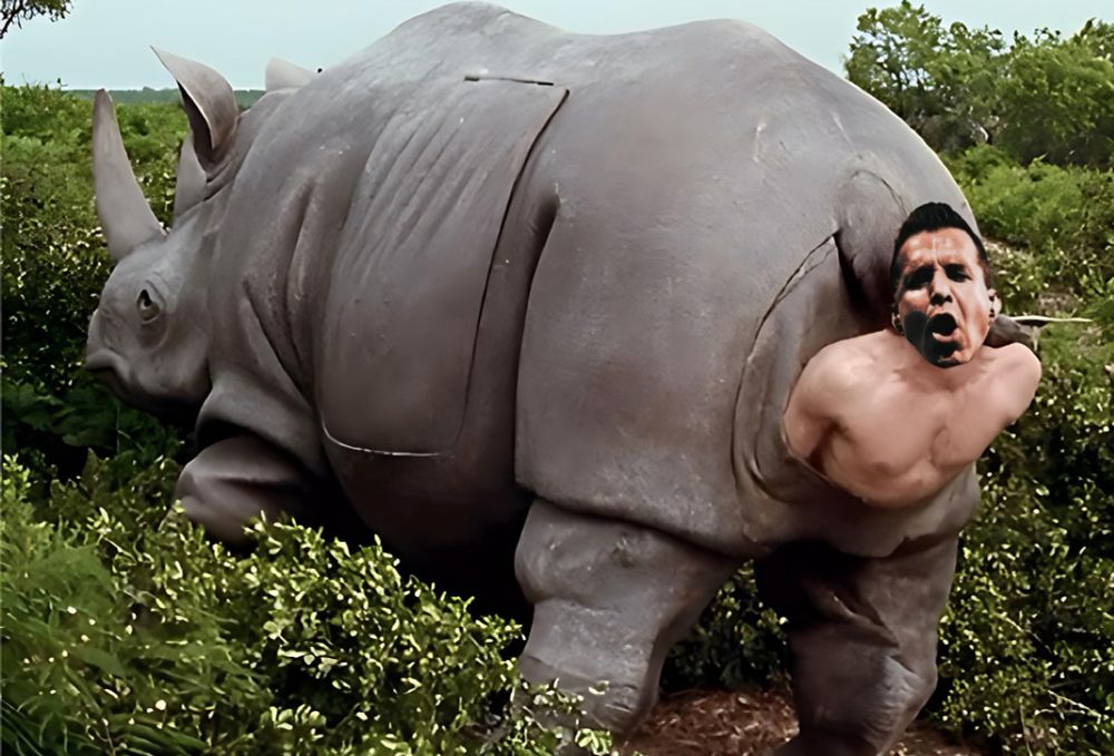 Scott Stapp in the rhino scene from Ace Ventura. A scene I still blame for some of my trauma. 